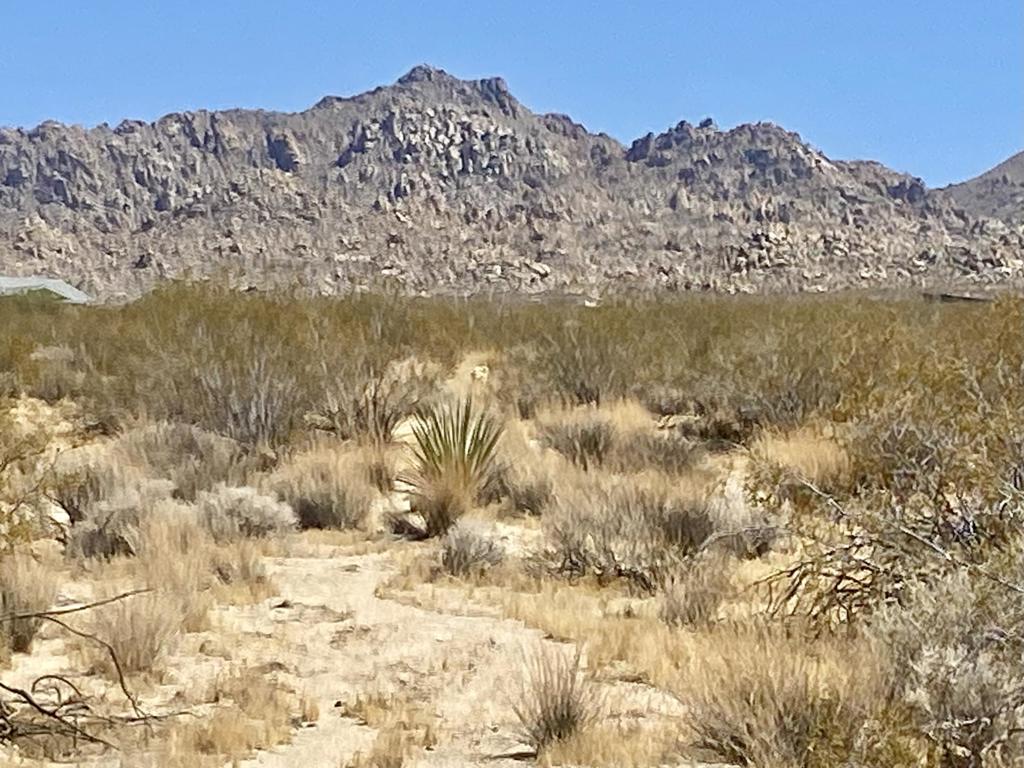 108 Twentynine Palms Highway Property Photo 2