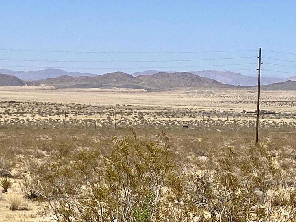 108 Twentynine Palms Highway Property Photo 3