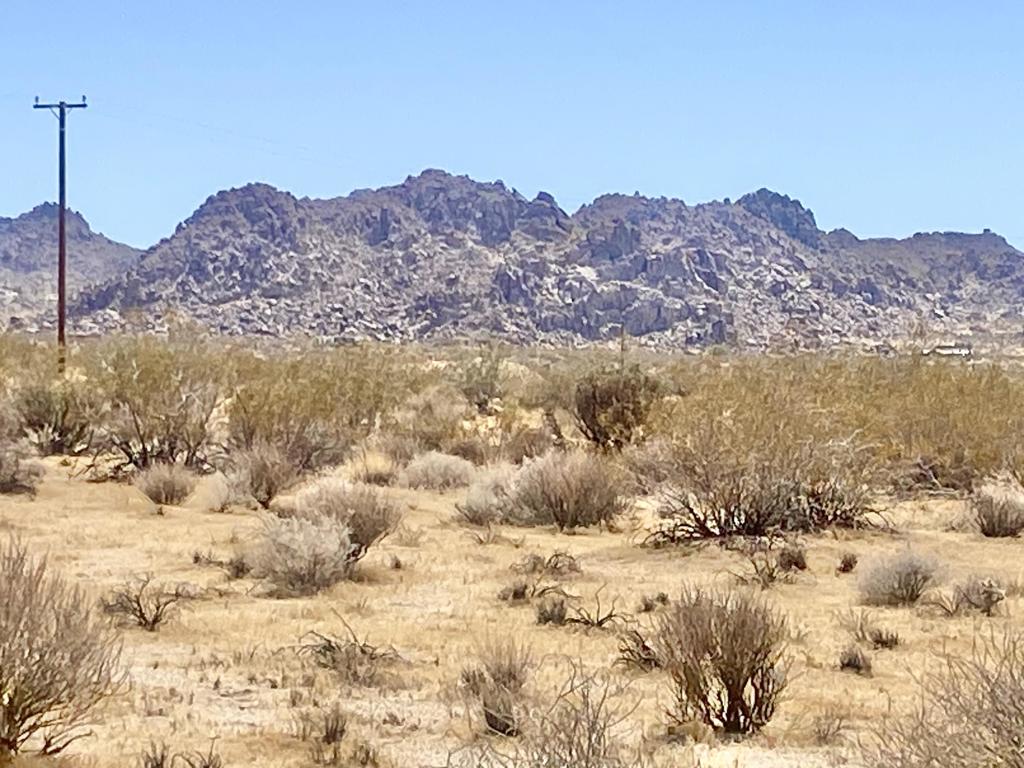 108 Twentynine Palms Highway Property Photo 4