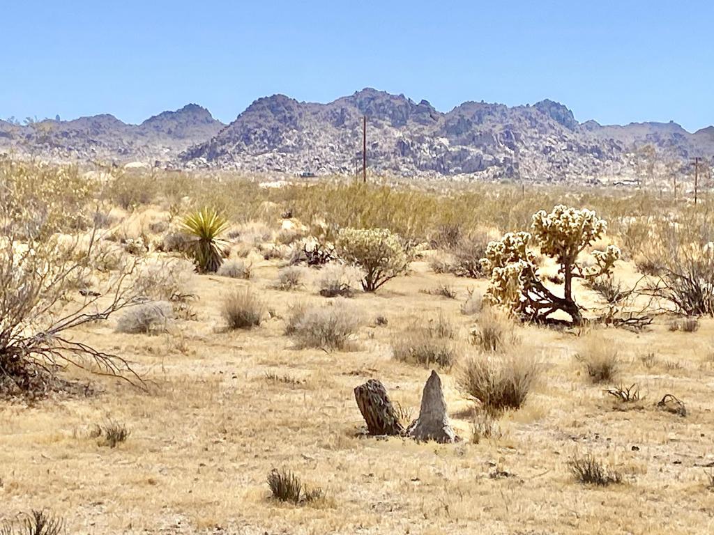 108 Twentynine Palms Highway Property Photo 11