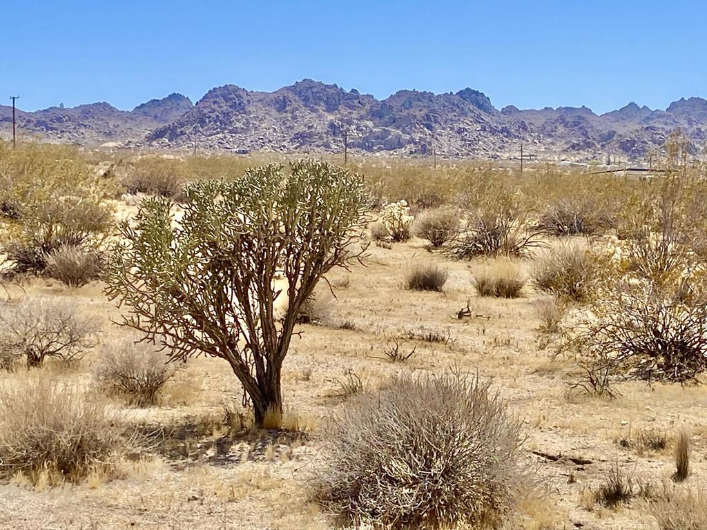108 Twentynine Palms Highway Property Photo 17