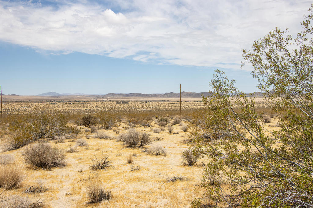 108 Twentynine Palms Highway Property Photo 19