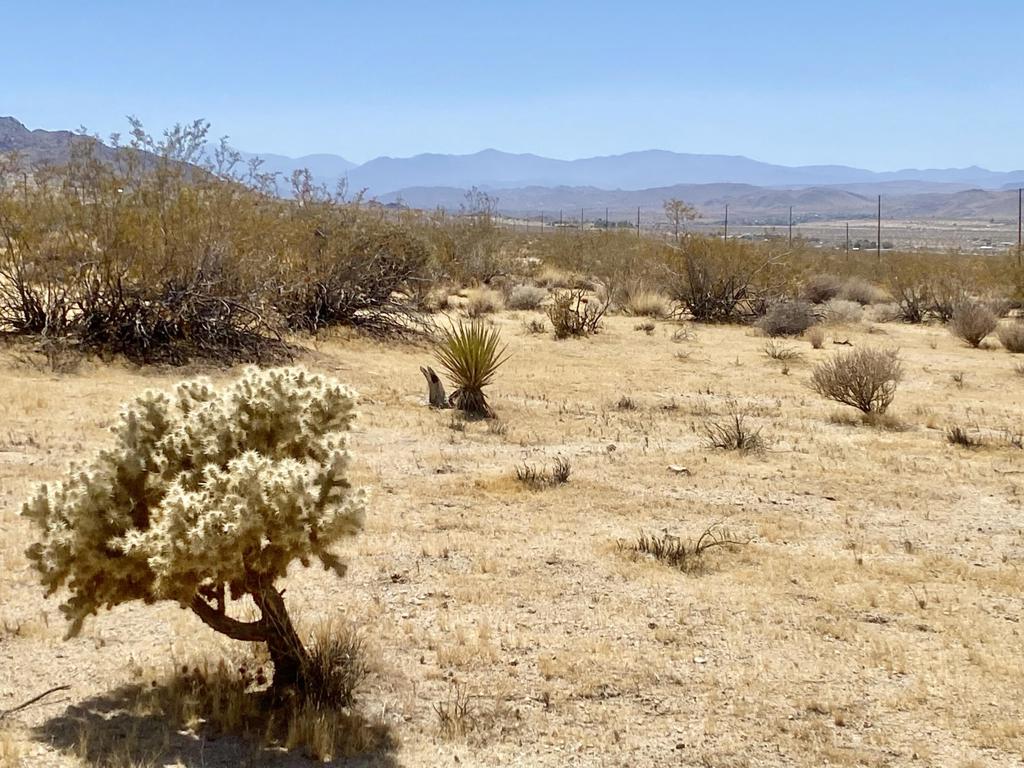 108 Twentynine Palms Highway Property Photo 20