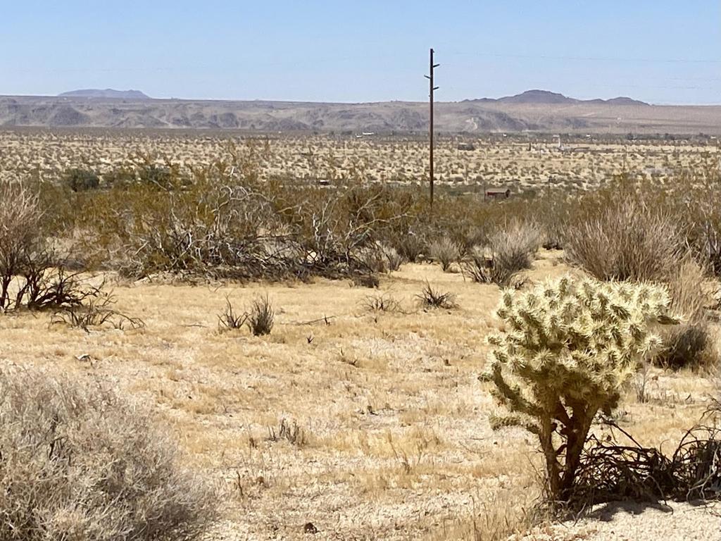 108 Twentynine Palms Highway Property Photo 24