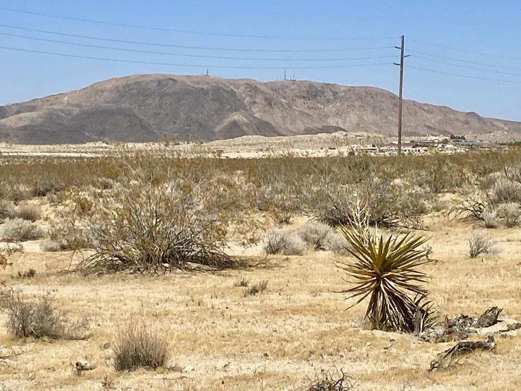 108 Twentynine Palms Highway Property Photo 25