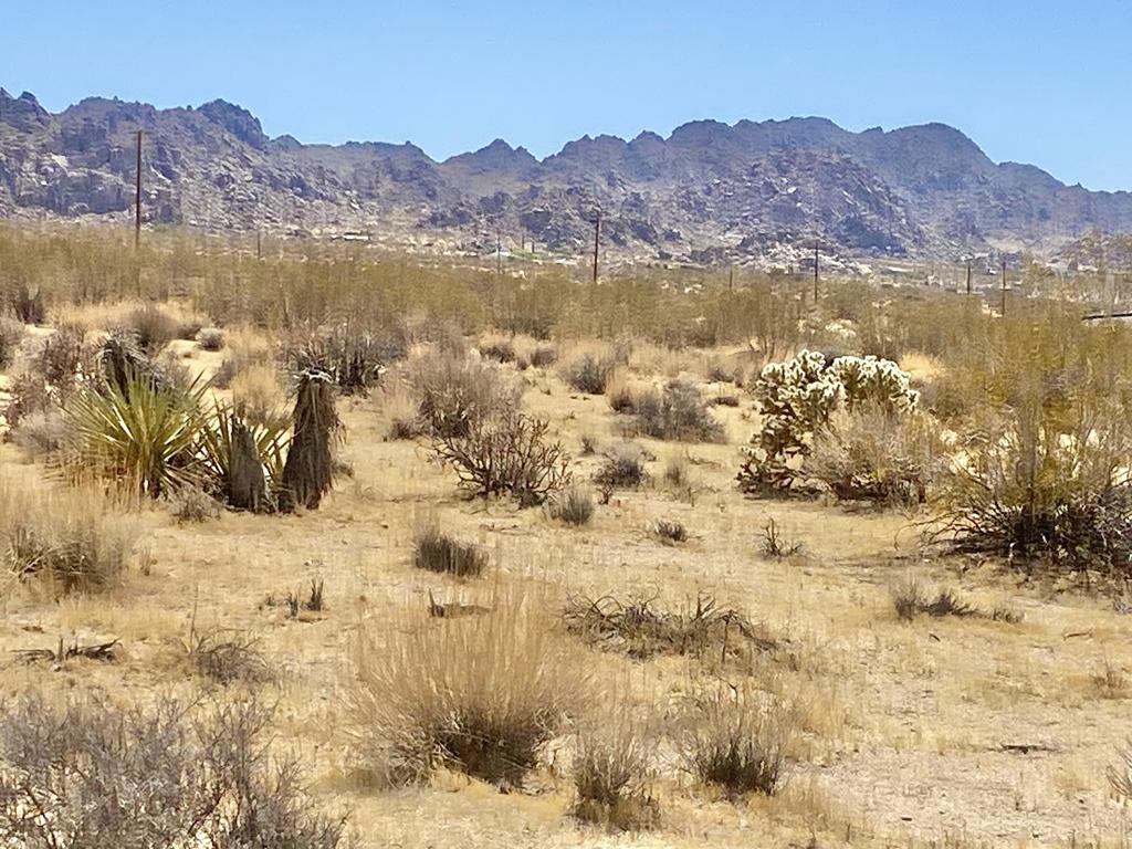 108 Twentynine Palms Highway Property Photo 26