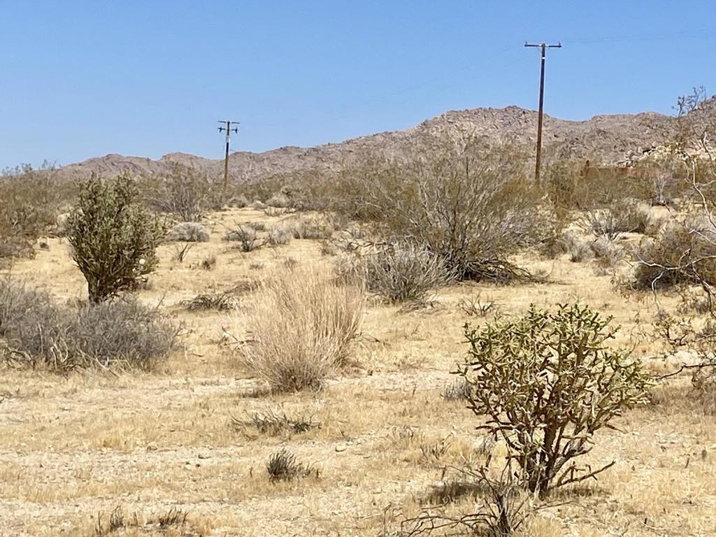 108 Twentynine Palms Highway Property Photo 32