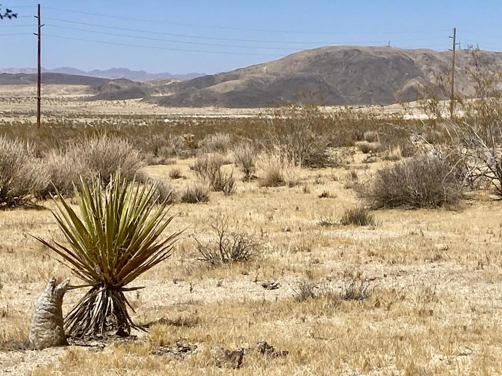 108 Twentynine Palms Highway Property Photo 33