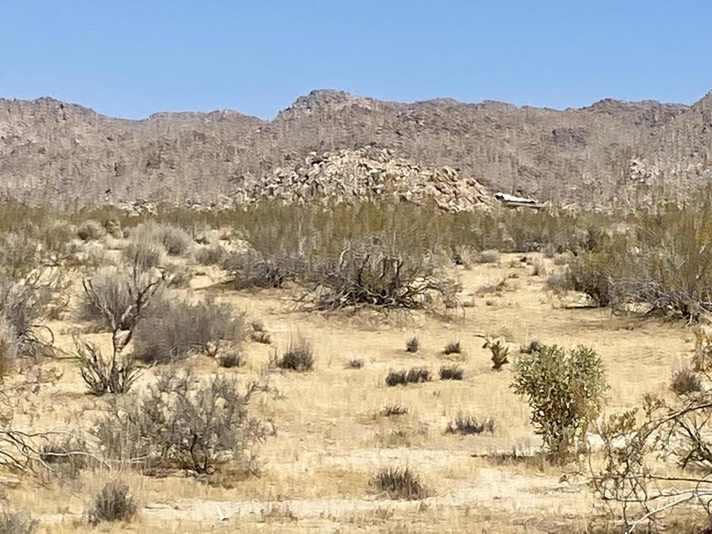 108 Twentynine Palms Highway Property Photo 34