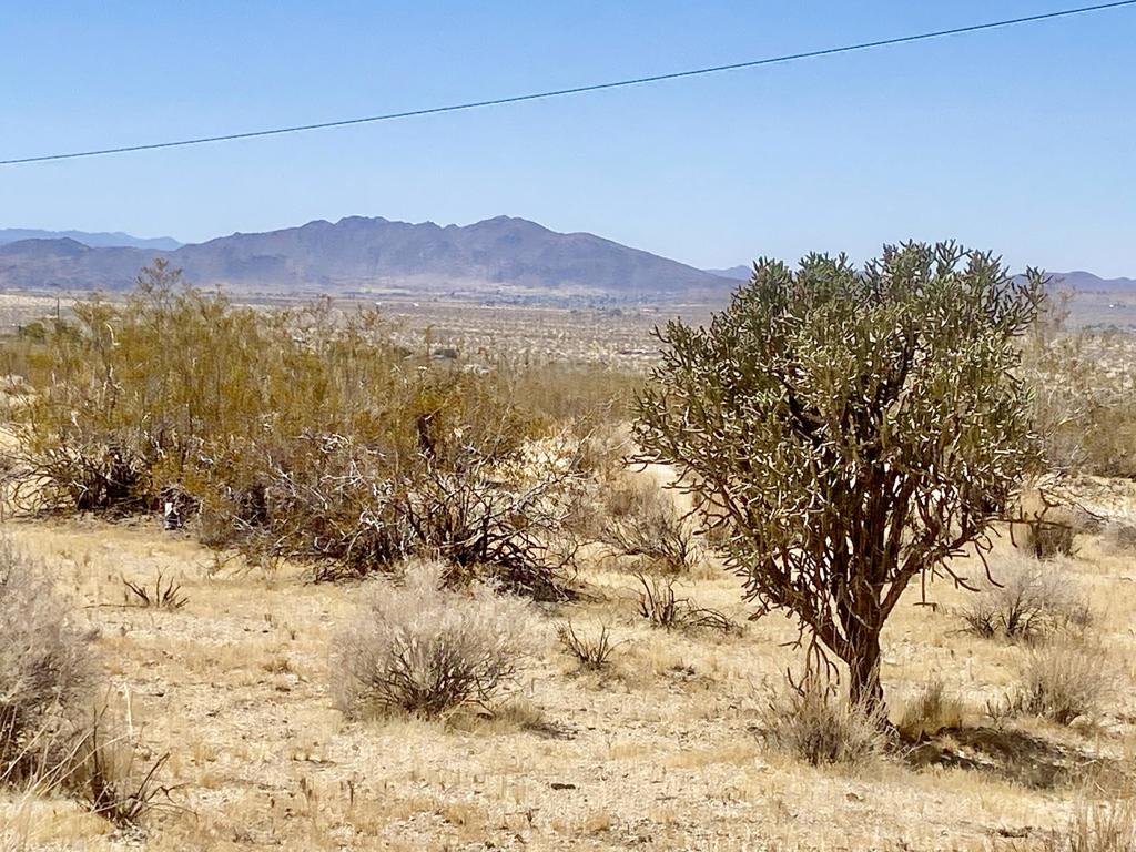 108 Twentynine Palms Highway Property Photo 36