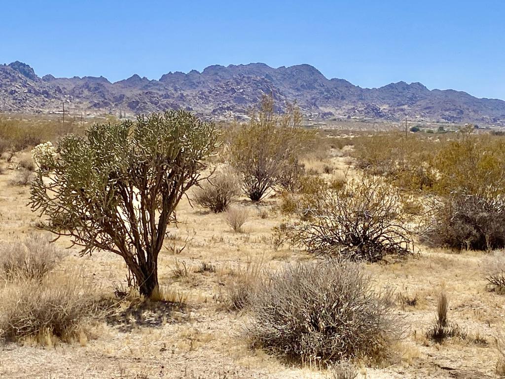 108 Twentynine Palms Highway Property Photo 37
