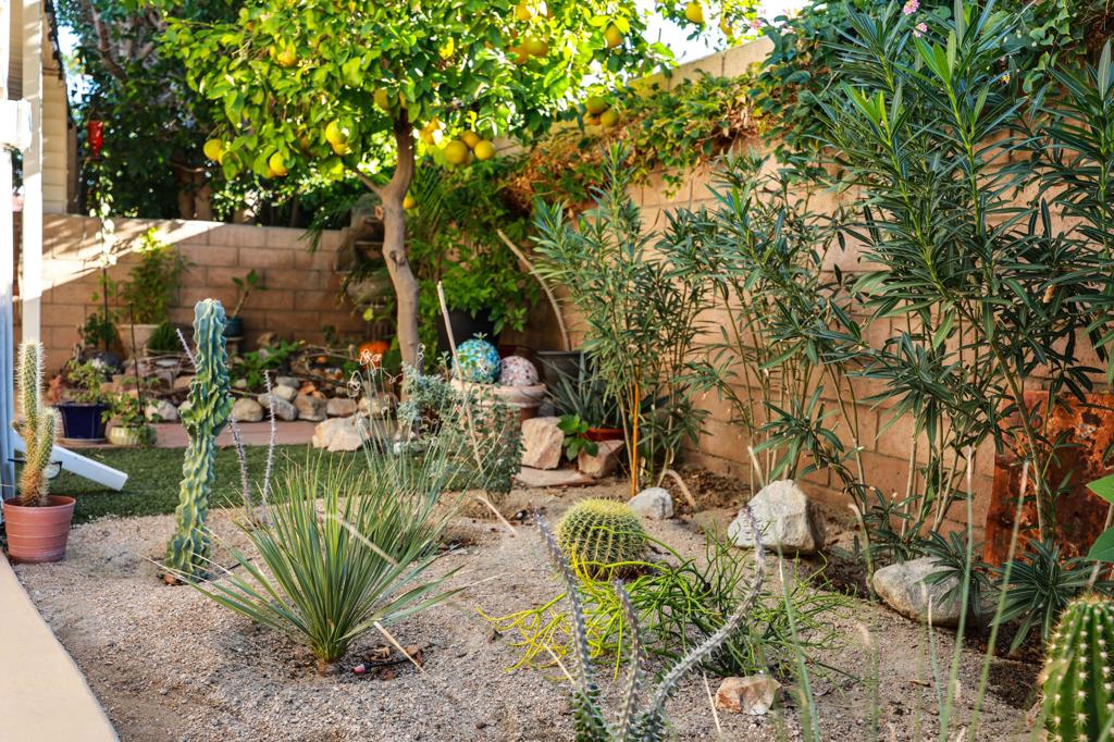 310 Via Don Benito Property Photo 39