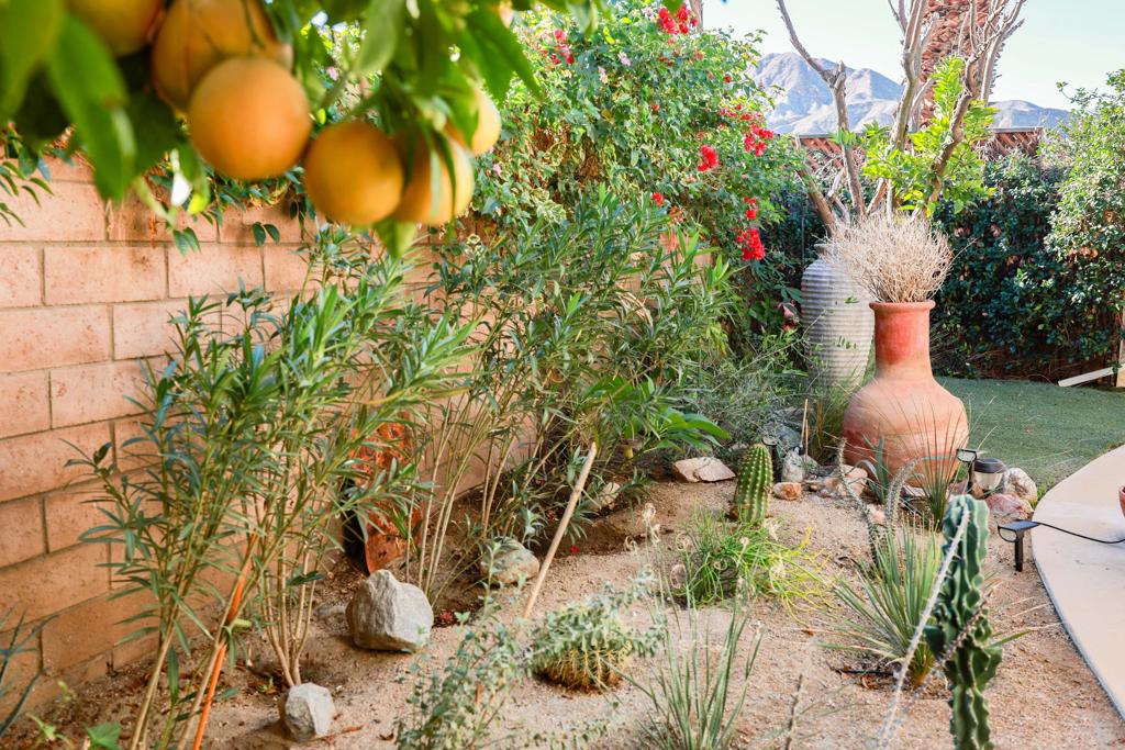310 Via Don Benito Property Photo 40