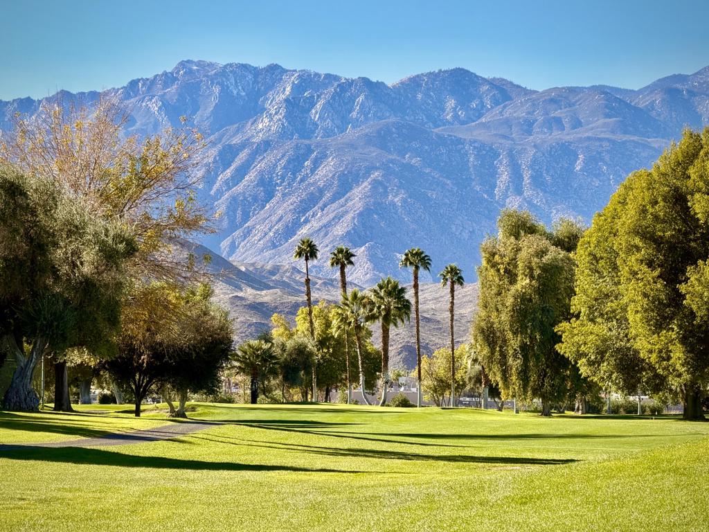 310 Via Don Benito Property Photo 46