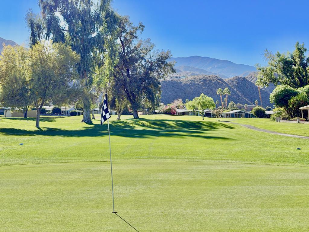 310 Via Don Benito Property Photo 47
