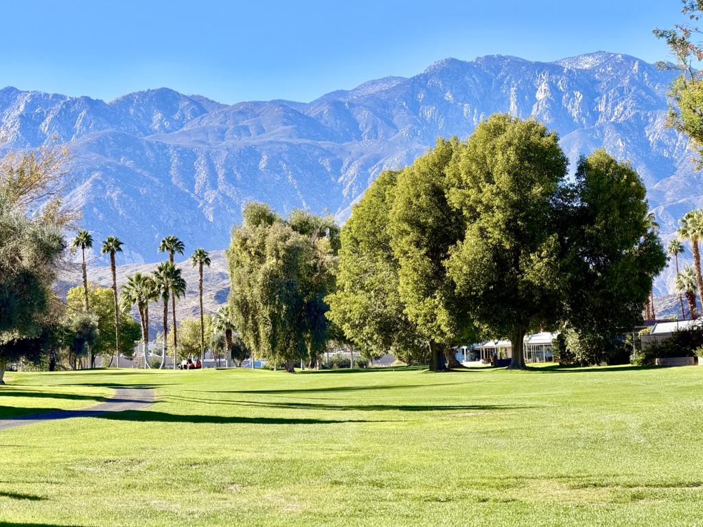310 Via Don Benito Property Photo 49