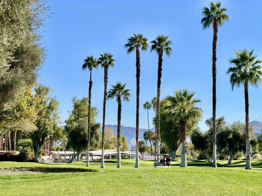 310 Via Don Benito Property Photo 50