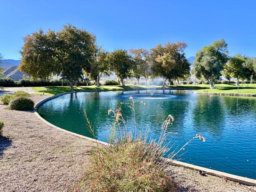 310 Via Don Benito Property Photo 51