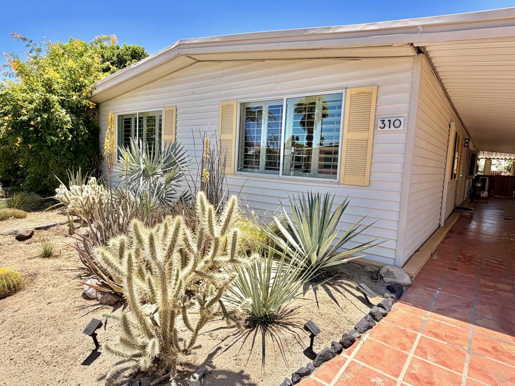 310 Via Don Benito Property Photo 59