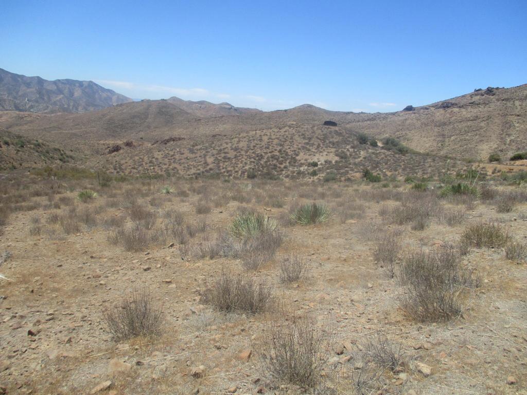 28 Hughes Property Photo 25
