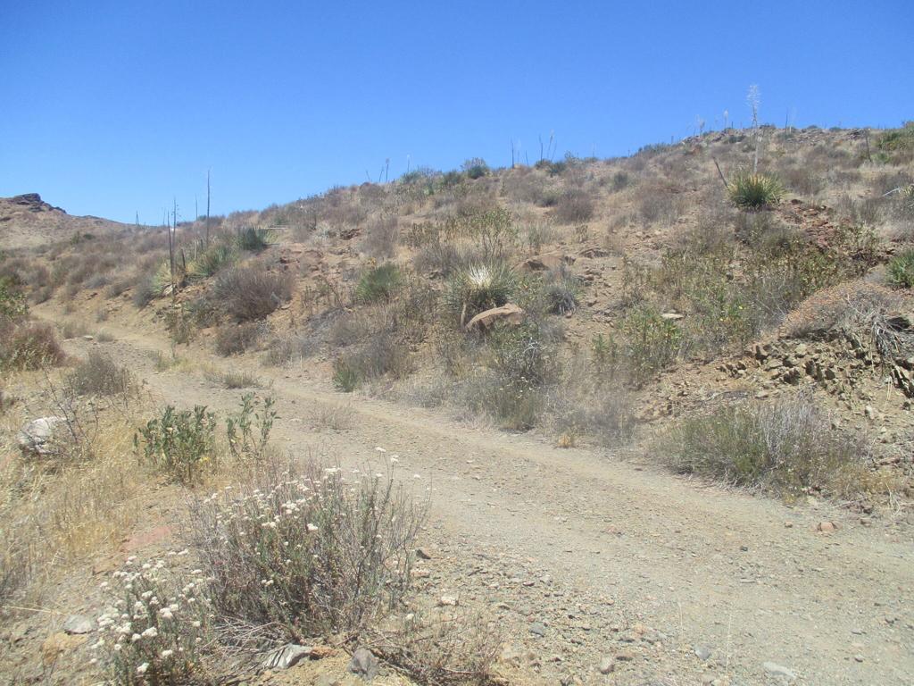28 Hughes Property Photo 39