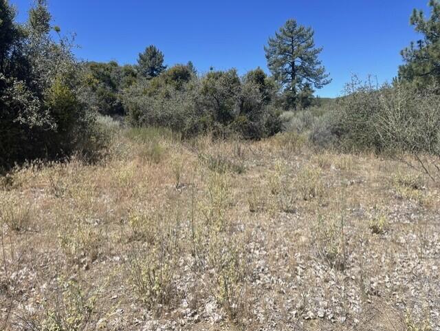 0 Devils Ladder Property Photo 2