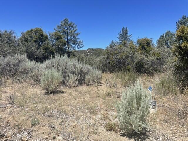 0 Devils Ladder Property Photo 3