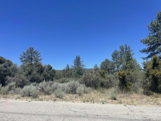 0 Devils Ladder Property Photo 4