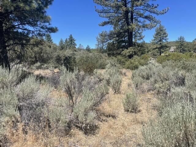0 Devils Ladder Property Photo 5