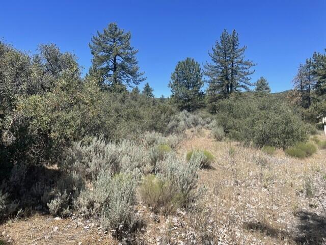 0 Devils Ladder Property Photo 6