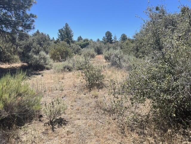 0 Devils Ladder Property Photo 7