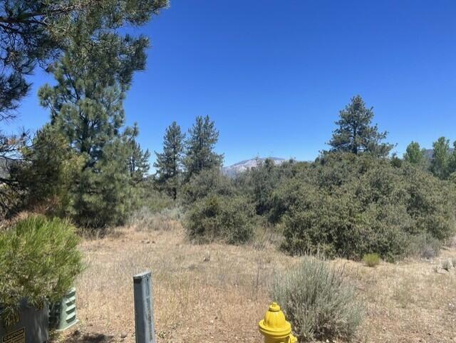 0 Devils Ladder Property Photo 8