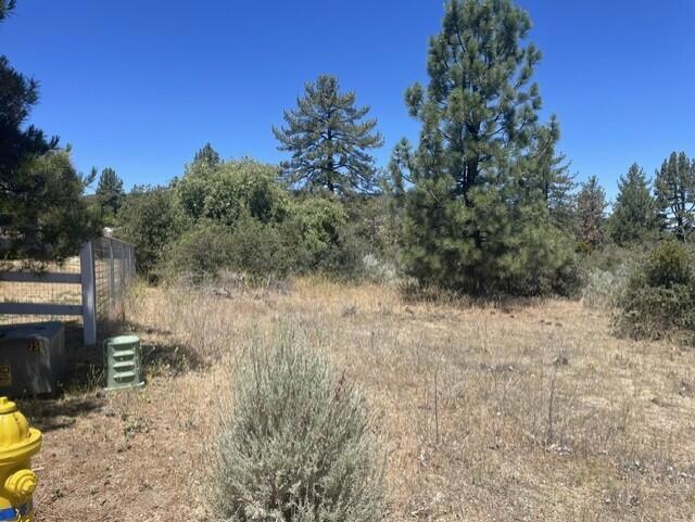 0 Devils Ladder Property Photo 9