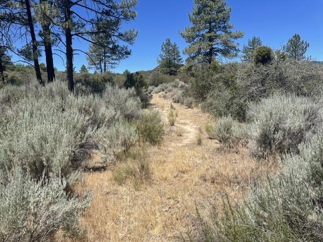 0 Devils Ladder Property Photo 10