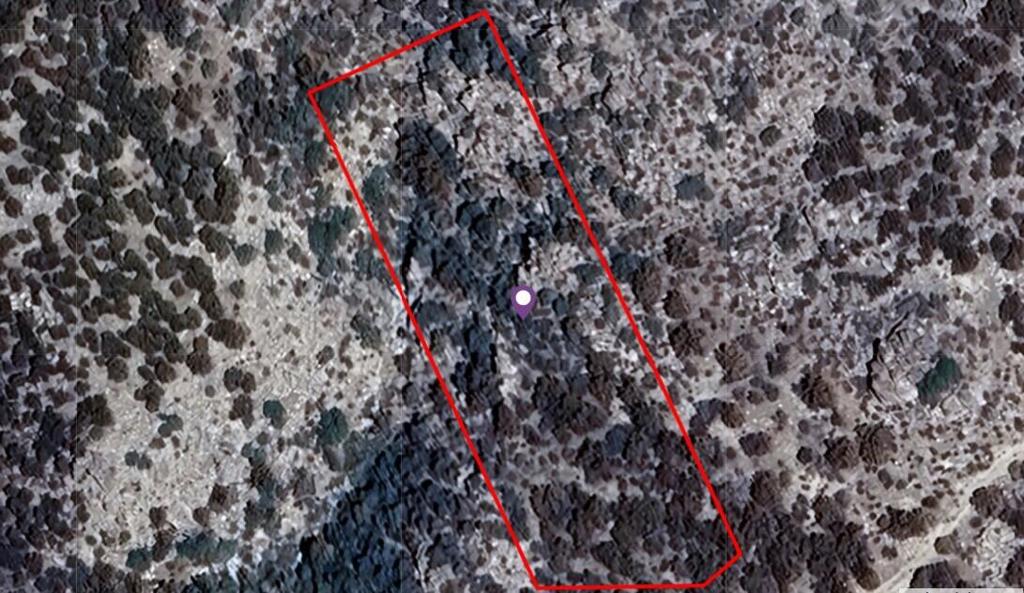 1 Palm Canyon Drive Property Photo 12