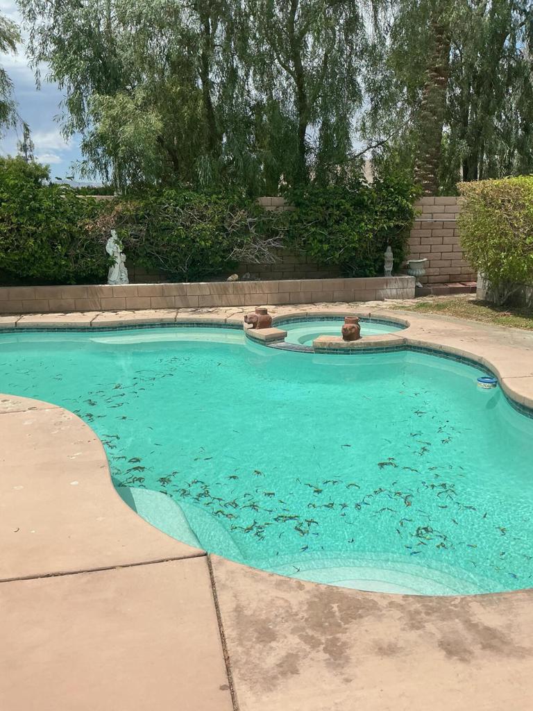 69456 Saint Andrews Road Property Photo 3