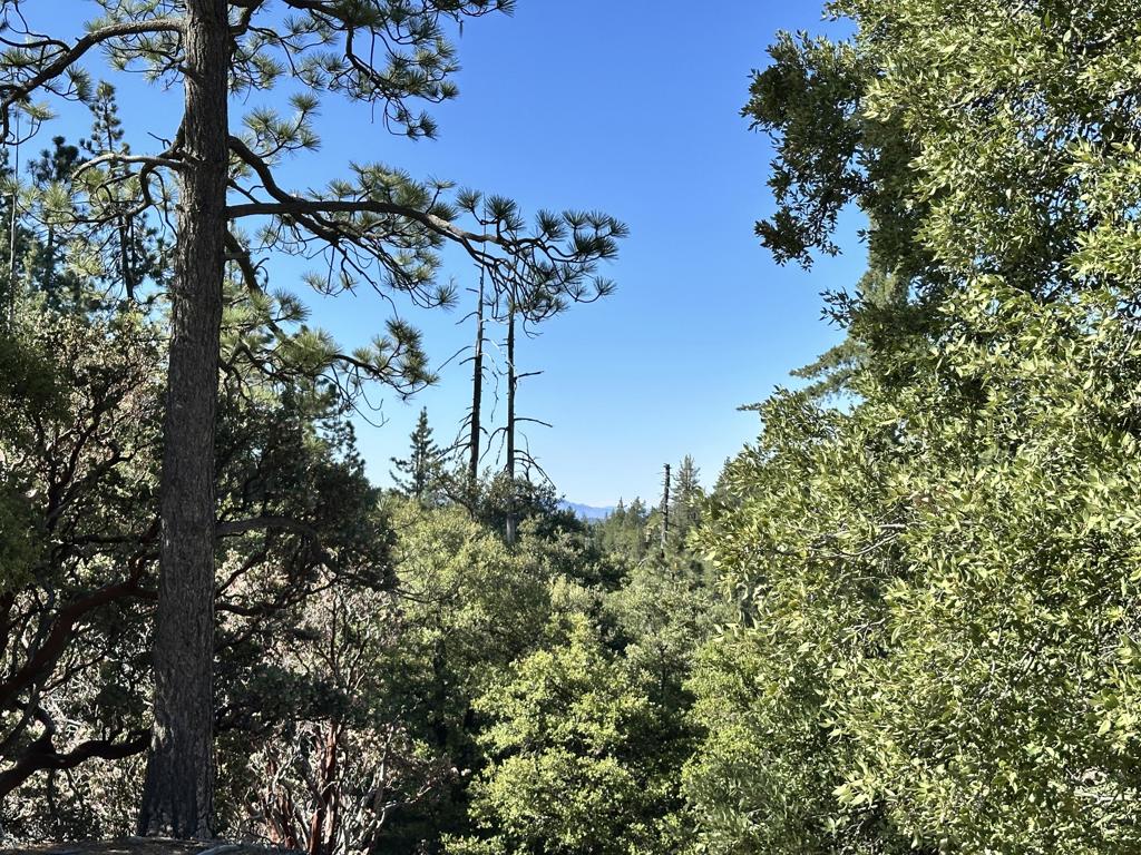 0 Mountain View Drive Property Photo 1