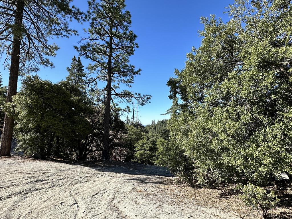 0 Mountain View Drive Property Photo 2