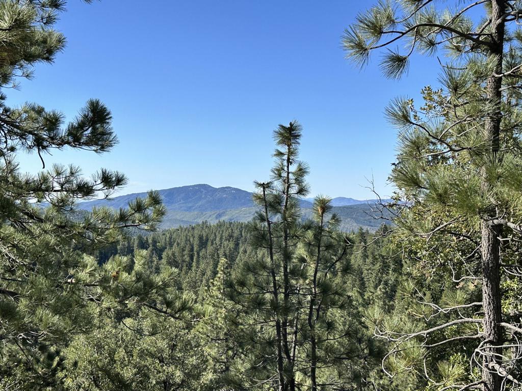 0 Mountain View Drive Property Photo 6