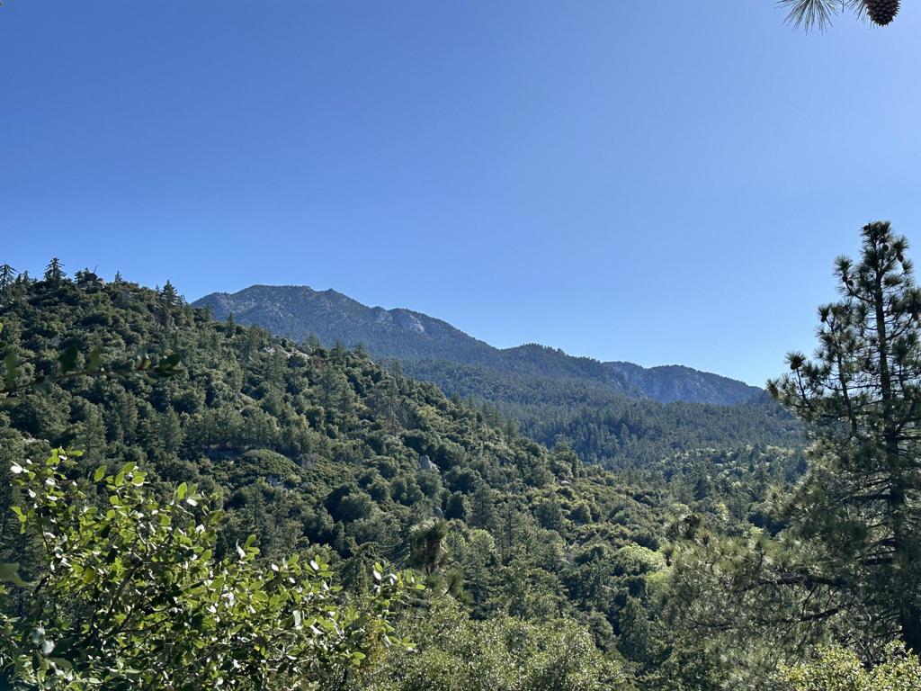 0 Mountain View Drive Property Photo 8