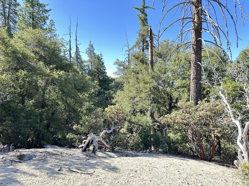 0 Mountain View Drive Property Photo 12
