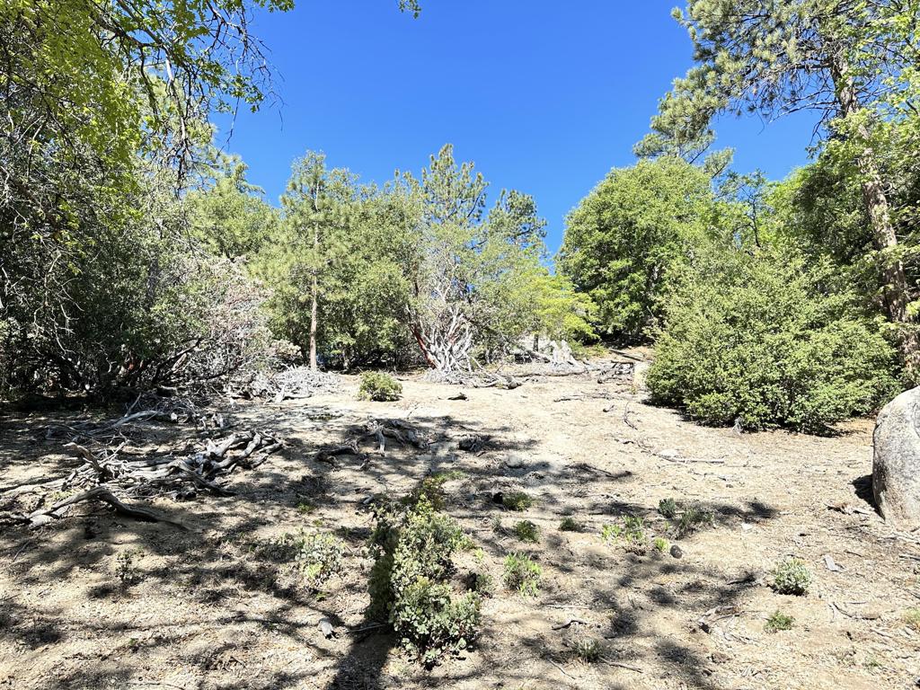 0 Mountain View Drive Property Photo 14