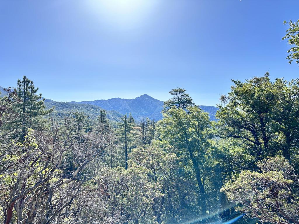 0 Mountain View Drive Property Photo 15
