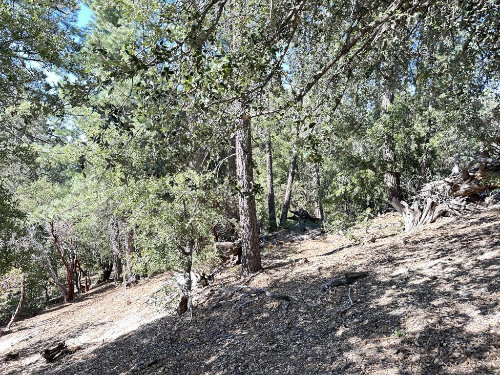 0 Mountain View Drive Property Photo 16
