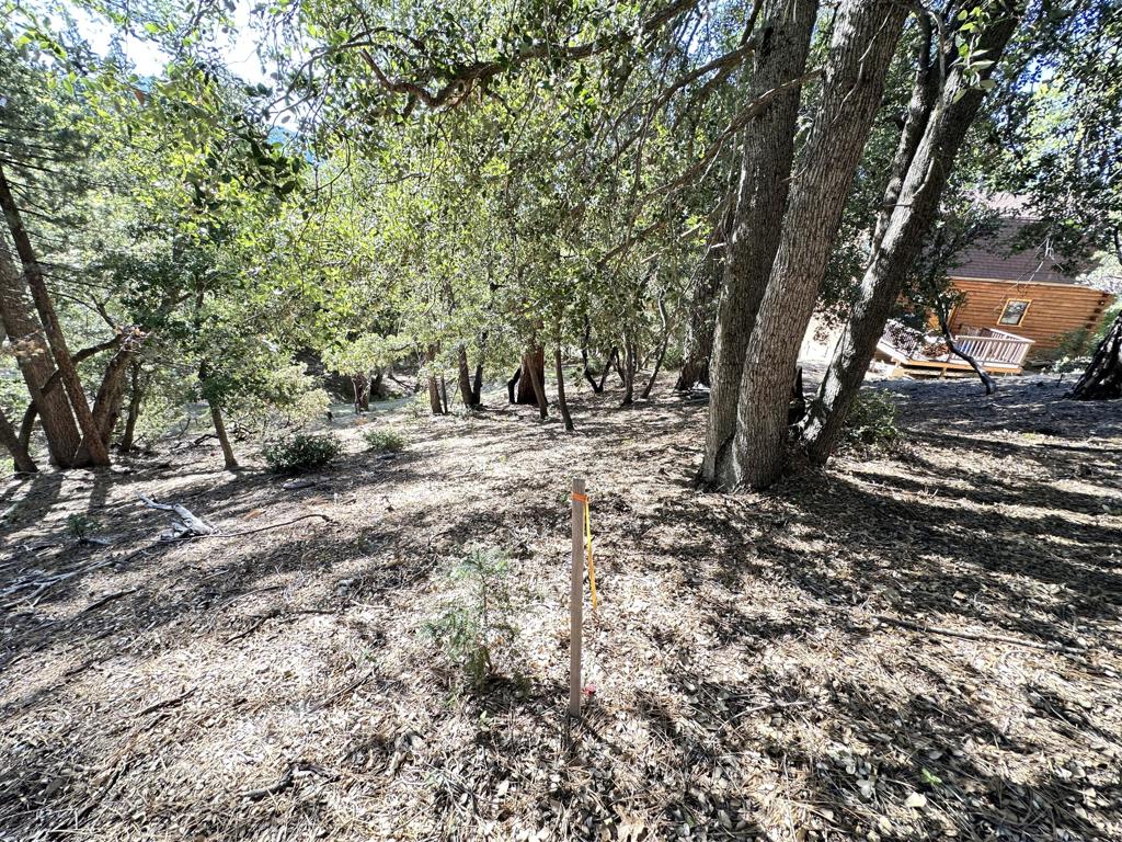 0 Mountain View Drive Property Photo 17