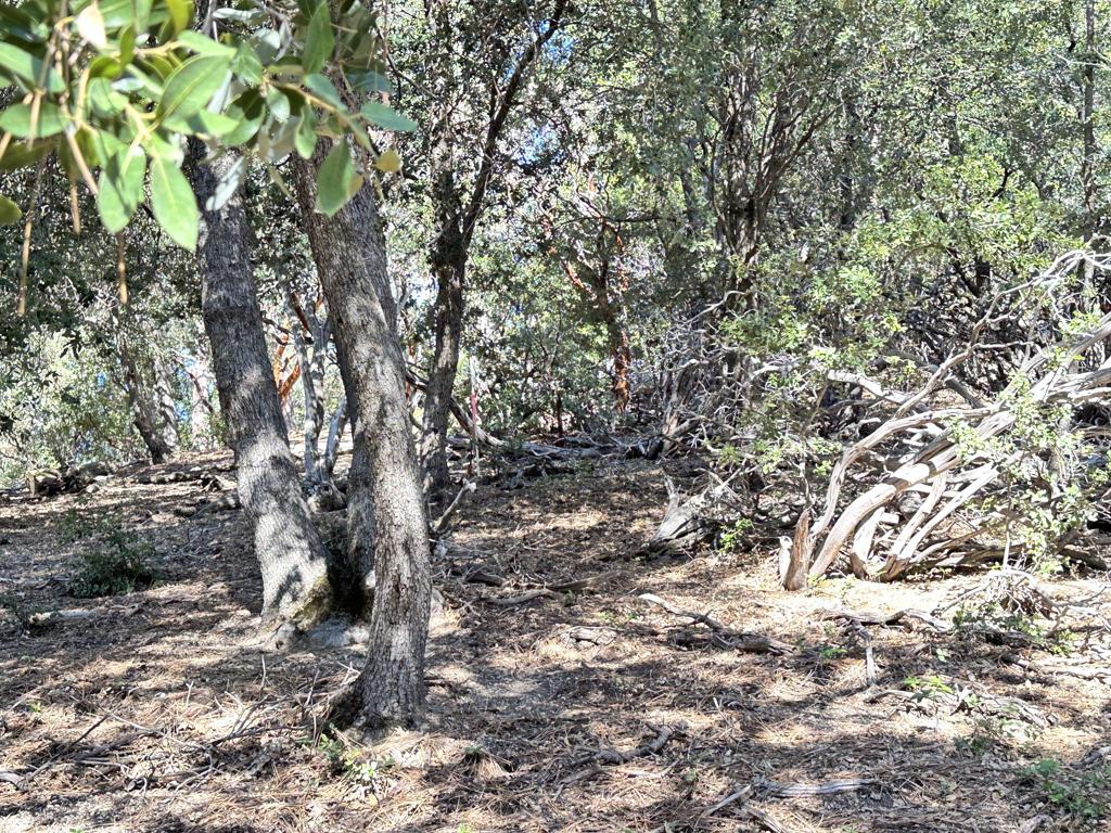 0 Mountain View Drive Property Photo 18