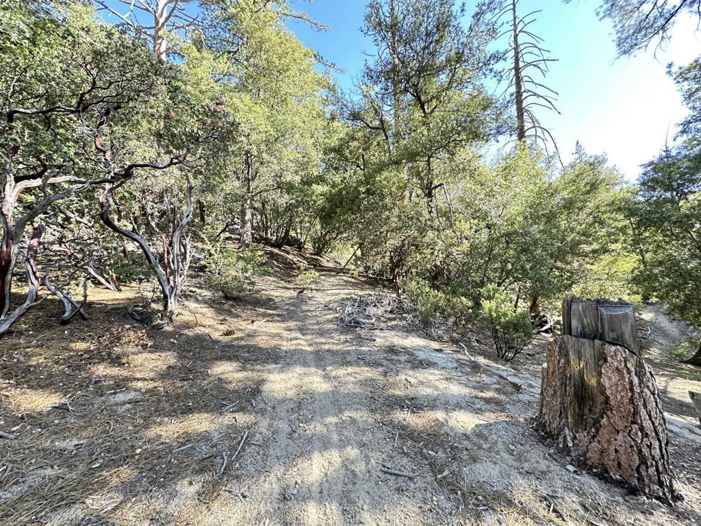 0 Mountain View Drive Property Photo 19