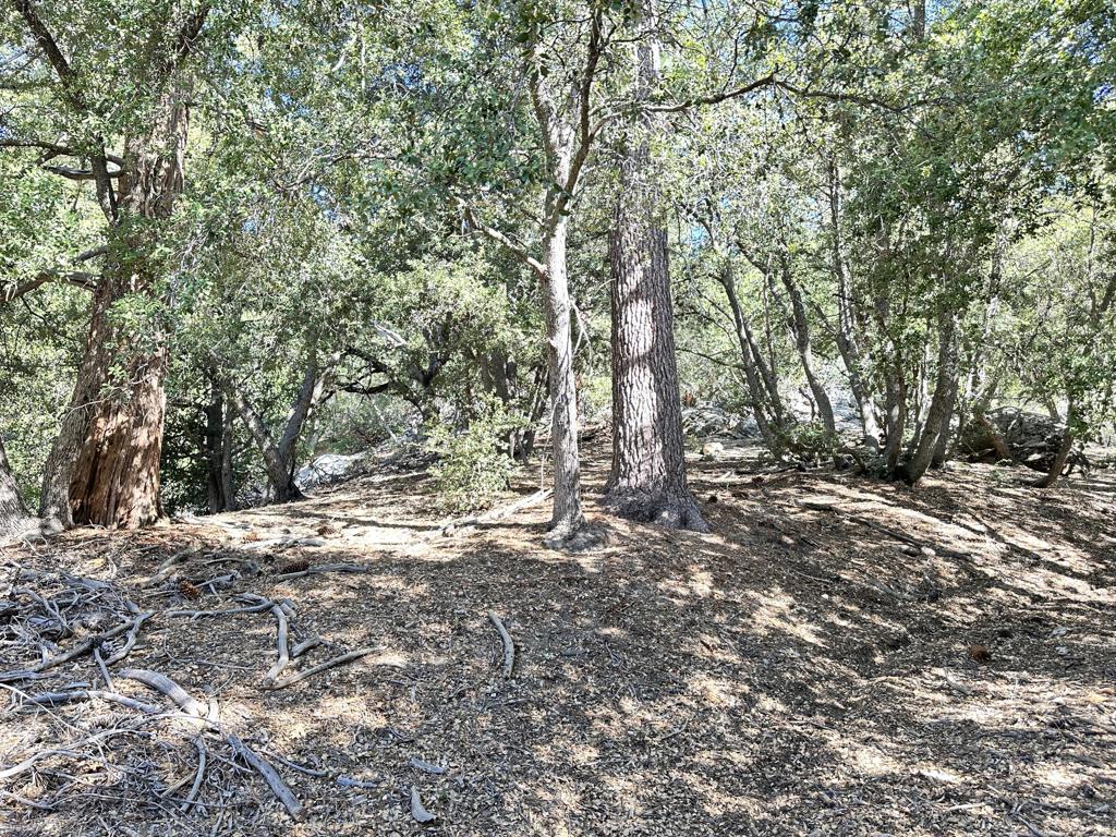 0 Mountain View Drive Property Photo 20