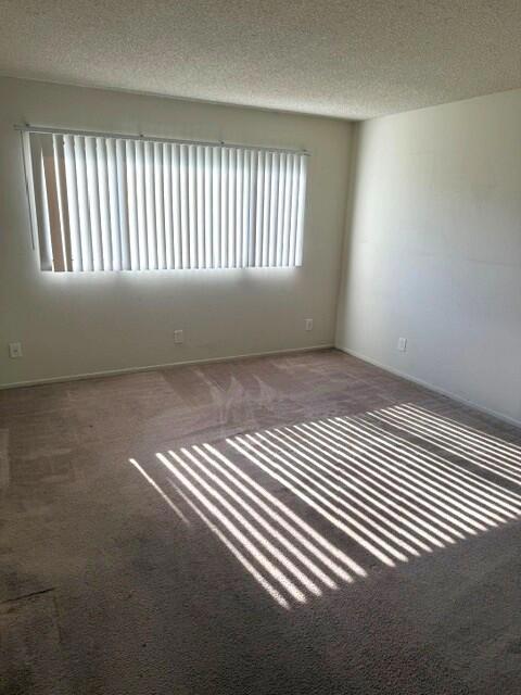 52150 Avenida Ramirez Property Photo 10