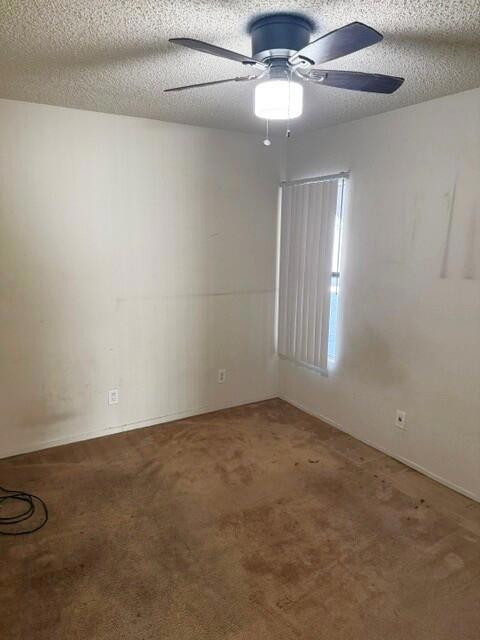 52150 Avenida Ramirez Property Photo 16